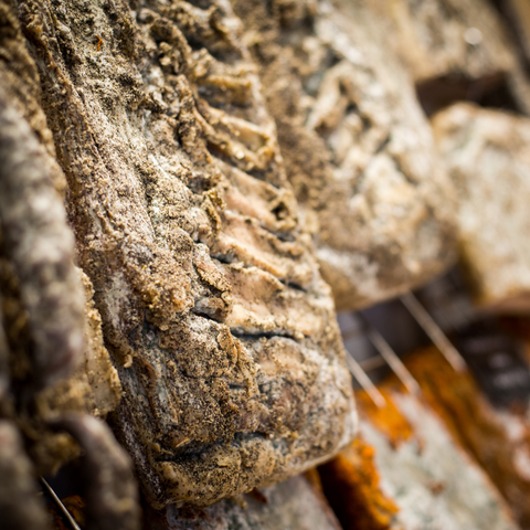 Poitrine séchée de Porc Noir de Bigorre AOP - Morceaux